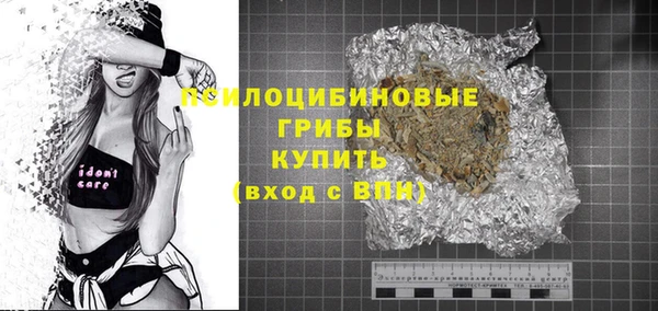 ECSTASY Абаза