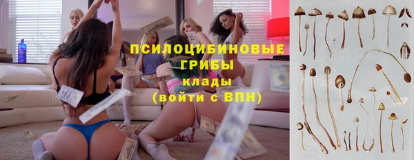 ECSTASY Абаза